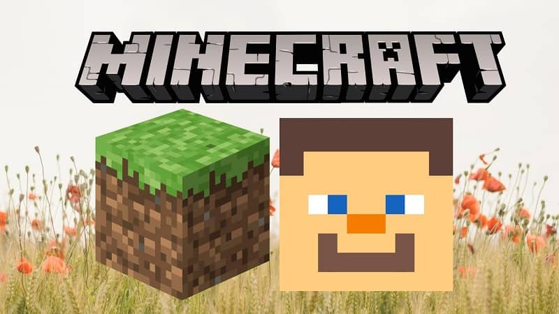 Icono de Minecraft cara de un personaje