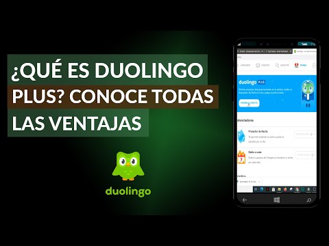 ¿Qué es Duolingo Plus? – Conoce Todas las Ventajas y Beneficios